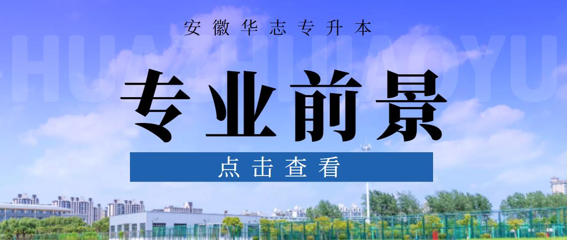 专升本必看，这6个热门专业就业前景分析