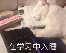 专升本从大几开始比较好？