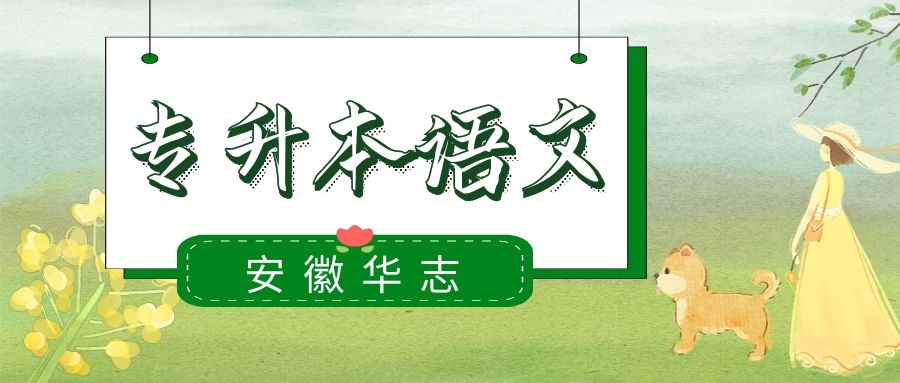 专升本语文|| 诗句与评书