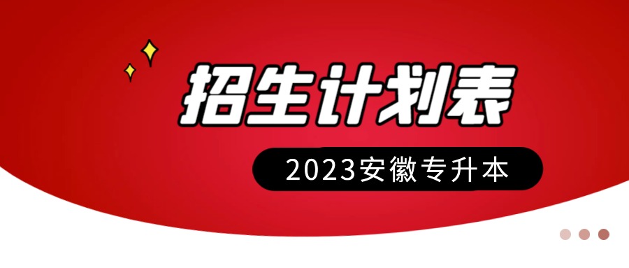 安徽省2023年普通专升本分校分专业招生计划表